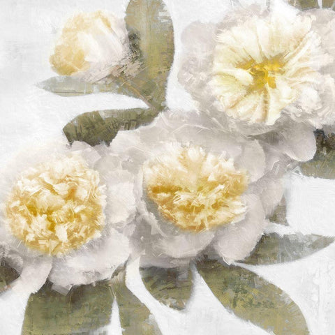 Ivory Bloom White Modern Wood Framed Art Print with Double Matting by Ford, Emily