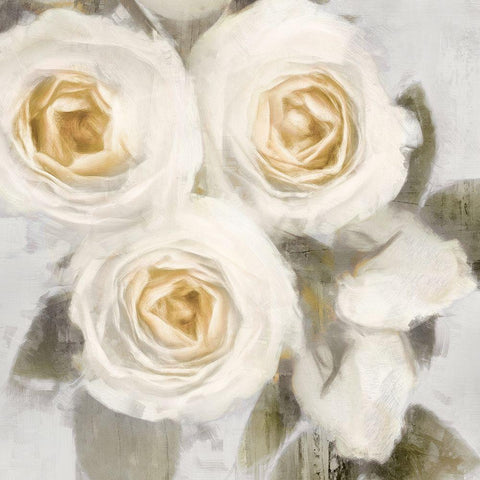 Ivory II Black Modern Wood Framed Art Print with Double Matting by Ford, Emily