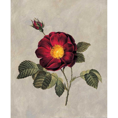 Timeless I Gold Ornate Wood Framed Art Print with Double Matting by Lopez, E.