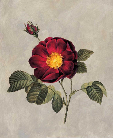 Timeless I Black Ornate Wood Framed Art Print with Double Matting by Lopez, E.