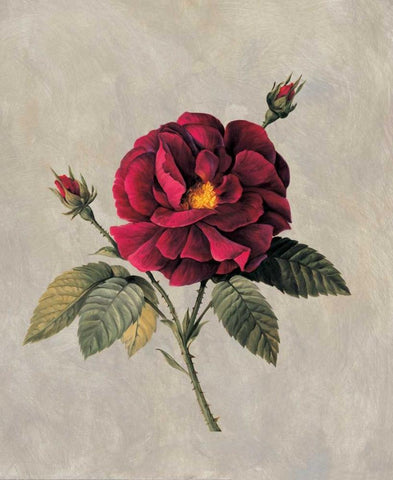 Timeless II White Modern Wood Framed Art Print with Double Matting by Lopez, E.