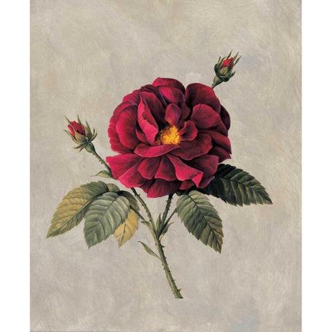 Timeless II Black Modern Wood Framed Art Print with Double Matting by Lopez, E.