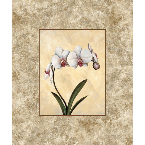 Perfection I White Modern Wood Framed Art Print by Lopez, E.