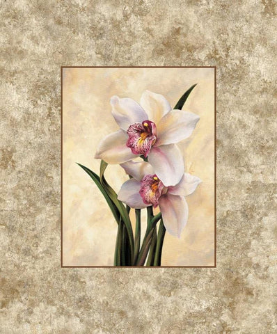 Perfection II White Modern Wood Framed Art Print with Double Matting by Lopez, E.