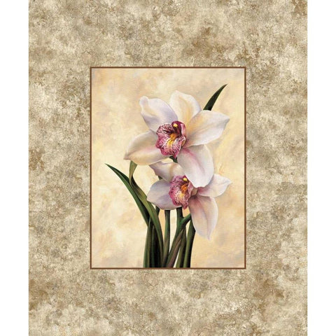 Perfection II White Modern Wood Framed Art Print by Lopez, E.