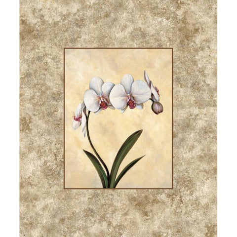 Perfection I White Modern Wood Framed Art Print by Lopez, E.