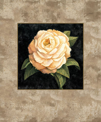 Yellow Peony White Modern Wood Framed Art Print with Double Matting by Lopez, E.