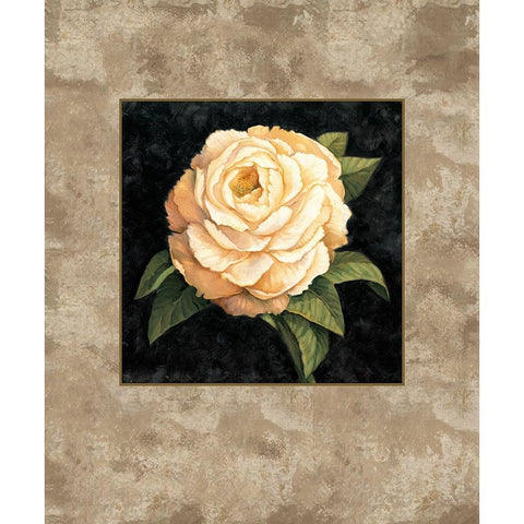 Yellow Peony Black Modern Wood Framed Art Print by Lopez, E.