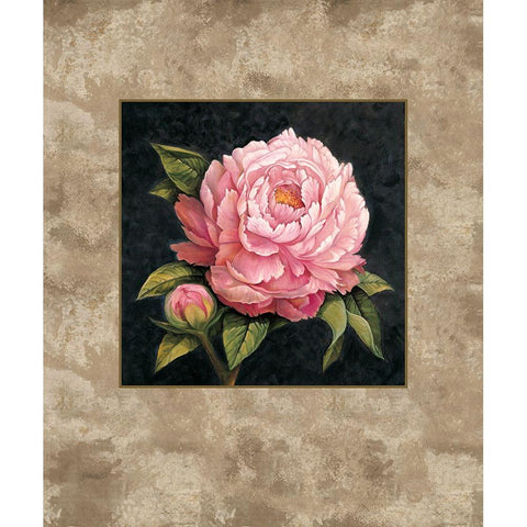 Pink Peony White Modern Wood Framed Art Print by Lopez, E.