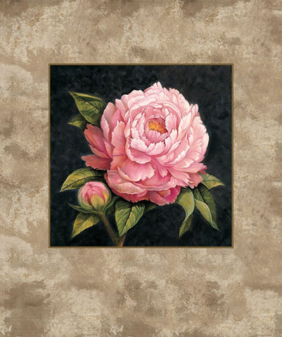 Pink Peony White Modern Wood Framed Art Print with Double Matting by Lopez, E.