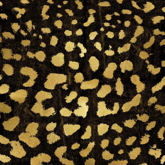Image Only