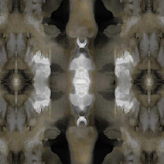 Image Only
