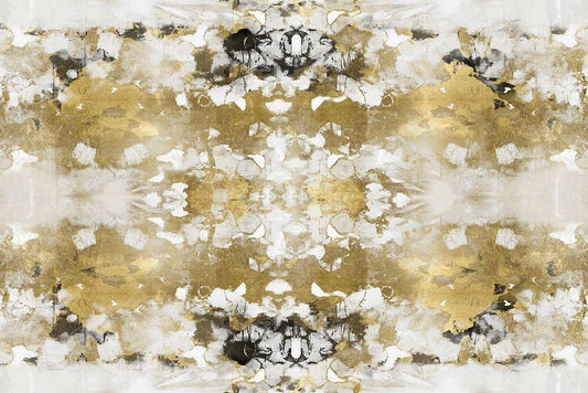 Image Only