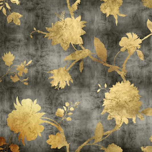 Image Only