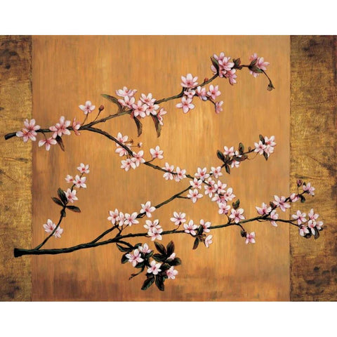 Cherry Blossoms White Modern Wood Framed Art Print by Lange, Erin