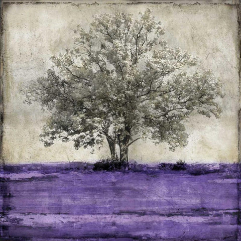 Majestic - Amethyst White Modern Wood Framed Art Print by Turner, Eric