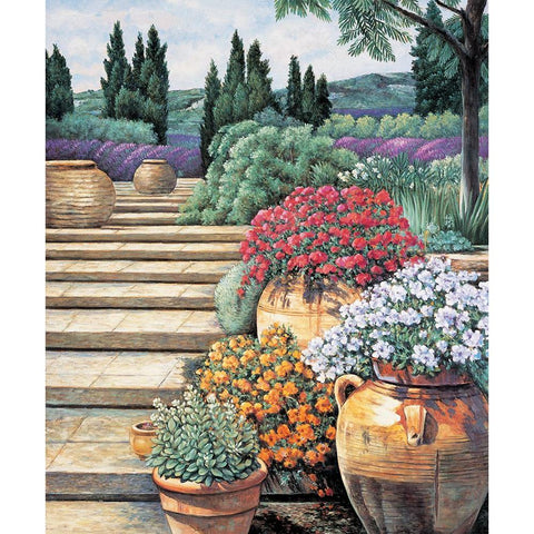 Provence Afternoon II White Modern Wood Framed Art Print by Wright, Elizabeth