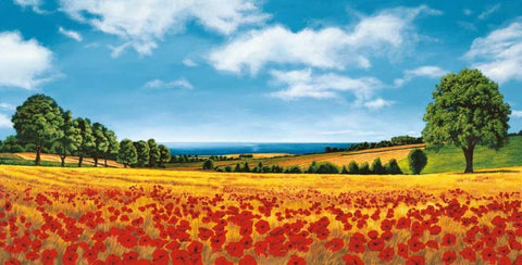 Prospettive sul mare Black Ornate Wood Framed Art Print with Double Matting by Arnolfi, Giorgio