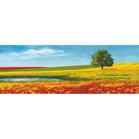 Era d estate White Modern Wood Framed Art Print by Arnolfi, Giorgio