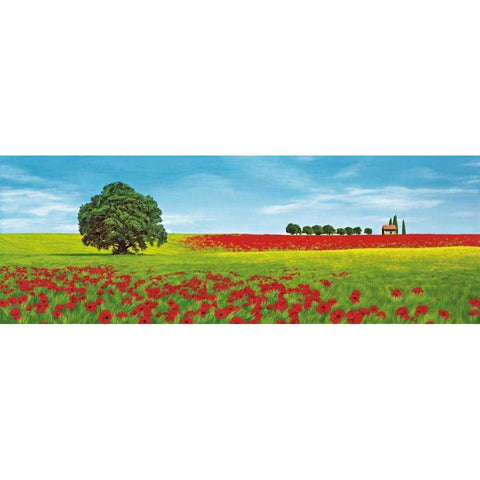 Dolci colline Black Modern Wood Framed Art Print with Double Matting by Arnolfi, Giorgio