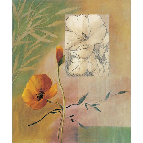 Fleurs et couleurs II Black Modern Wood Framed Art Print with Double Matting by Boulez, Genevieve