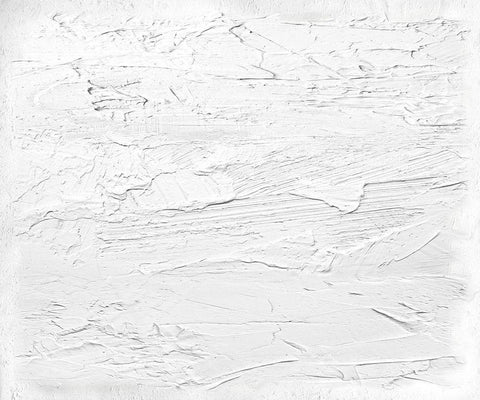 Textured on White II Black Ornate Wood Framed Art Print with Double Matting by Gordon, Sofia