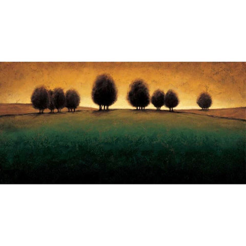 Incandescence Black Modern Wood Framed Art Print by Williams, Gregory