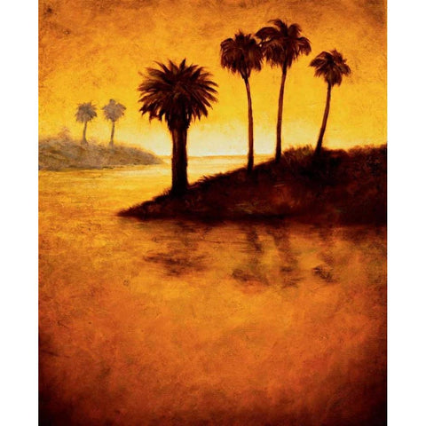Lagoon I Black Modern Wood Framed Art Print with Double Matting by Williams, Gregory