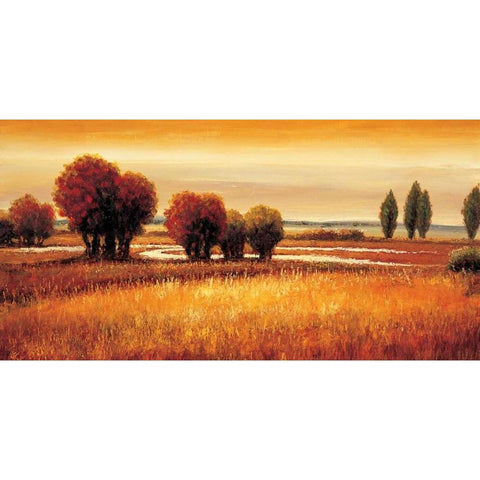 Golden Reflections I White Modern Wood Framed Art Print by Williams, Gregory