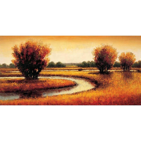 Golden Reflections II White Modern Wood Framed Art Print by Williams, Gregory