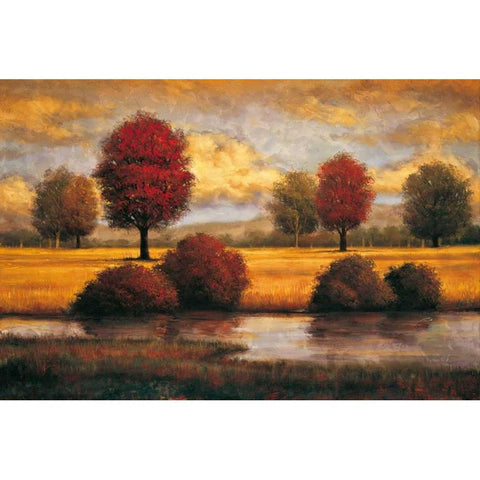 Serene II Black Modern Wood Framed Art Print with Double Matting by Williams, Gregory