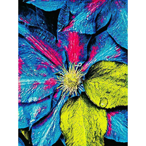 Clematis Abstract Black Modern Wood Framed Art Print by Bannon, Heidi
