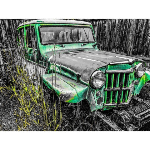 Willys Green Black Modern Wood Framed Art Print with Double Matting by Bannon, Heidi