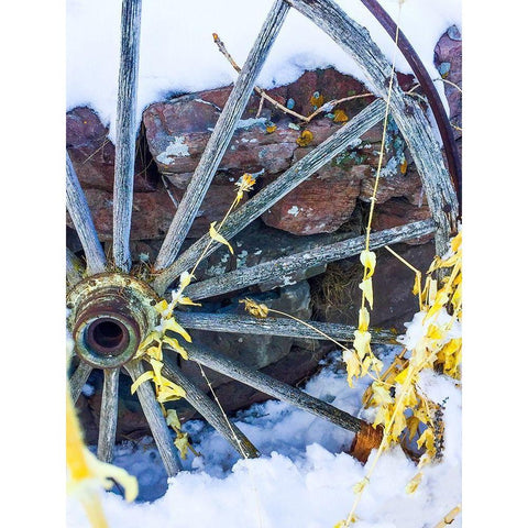 Montana Wagon Wheel I White Modern Wood Framed Art Print by Bannon, Heidi