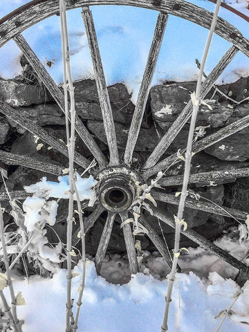 Montana Wagon Wheel II Black Ornate Wood Framed Art Print with Double Matting by Bannon, Heidi