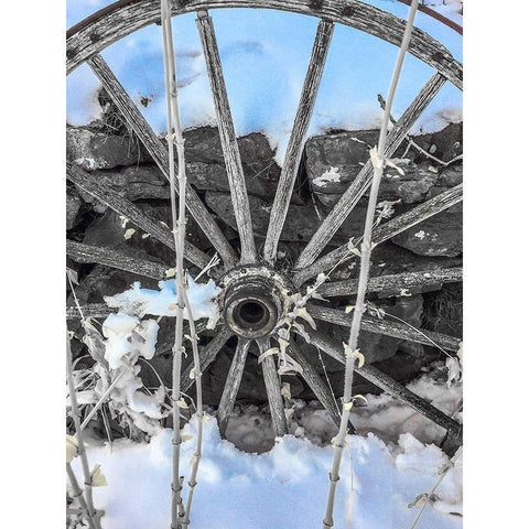 Montana Wagon Wheel II White Modern Wood Framed Art Print by Bannon, Heidi