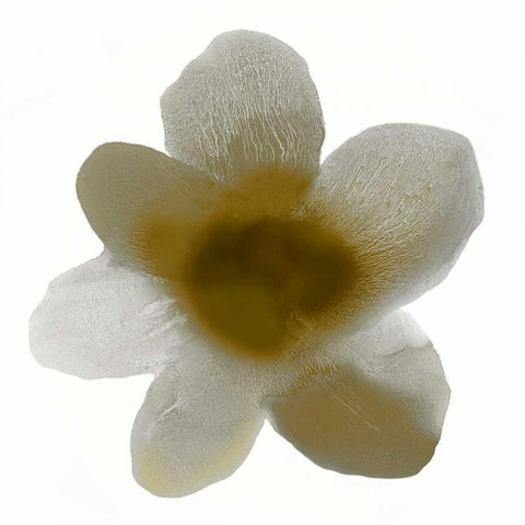 Bloom Taupe I White Modern Wood Framed Art Print by Carlson, Hannah