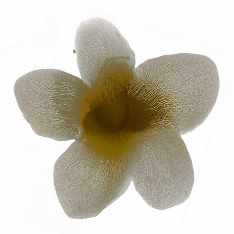 Bloom Taupe II Black Modern Wood Framed Art Print by Carlson, Hannah