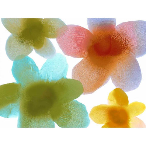 Floral Friends I White Modern Wood Framed Art Print by Carlson, Hannah