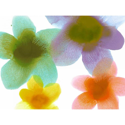 Floral Friends II Black Modern Wood Framed Art Print by Carlson, Hannah