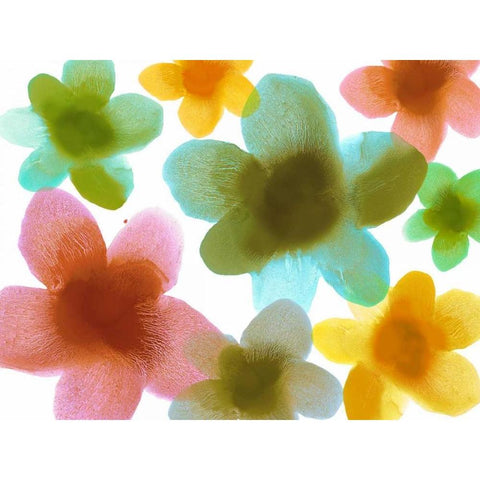 Floral Friends III White Modern Wood Framed Art Print by Carlson, Hannah