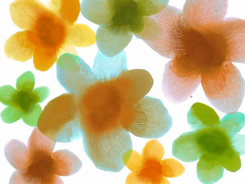 Floral Friends IV White Modern Wood Framed Art Print with Double Matting by Carlson, Hannah