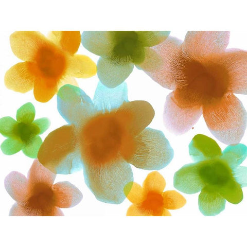 Floral Friends IV Black Modern Wood Framed Art Print by Carlson, Hannah