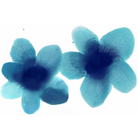 Floral Pair Black Modern Wood Framed Art Print with Double Matting by Carlson, Hannah