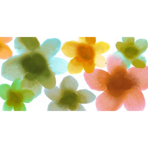 Fresh I White Modern Wood Framed Art Print by Carlson, Hannah