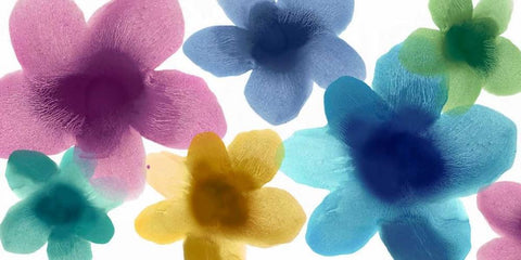 Fresh II White Modern Wood Framed Art Print with Double Matting by Carlson, Hannah