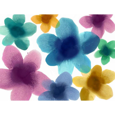 Hanging Out Black Modern Wood Framed Art Print with Double Matting by Carlson, Hannah