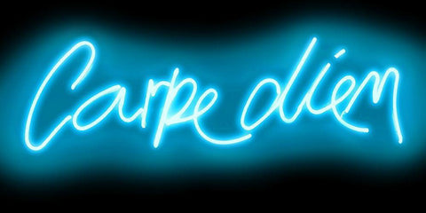 Neon Carpe Diem AB Black Ornate Wood Framed Art Print with Double Matting by Carr, Hailey