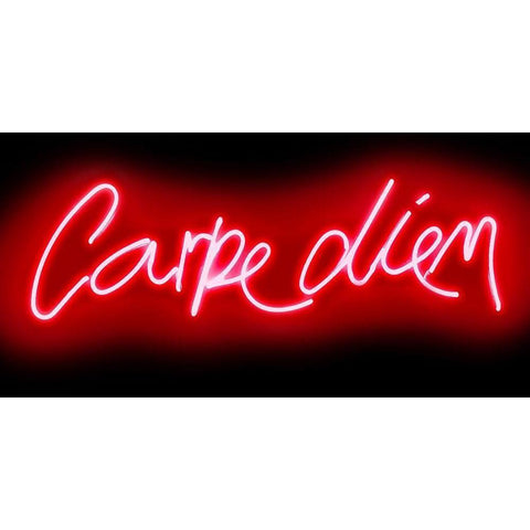 Neon Carpe Diem RB Gold Ornate Wood Framed Art Print with Double Matting by Carr, Hailey