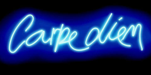 Neon Carpe Diem BB Black Ornate Wood Framed Art Print with Double Matting by Carr, Hailey